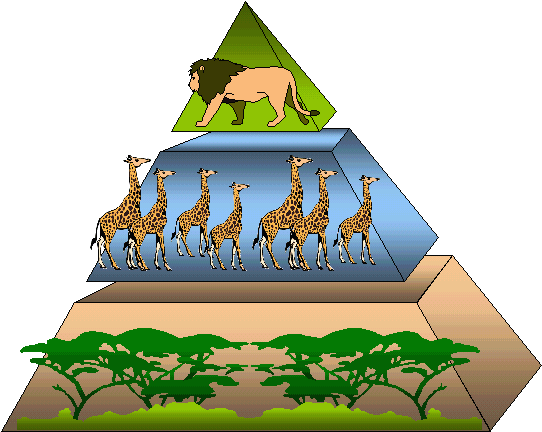 piramida ishrane