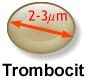 trombociti
